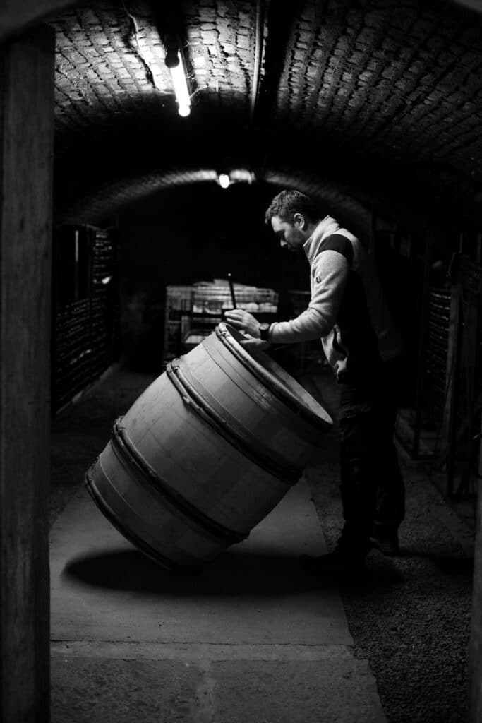 en cave fût de chêne